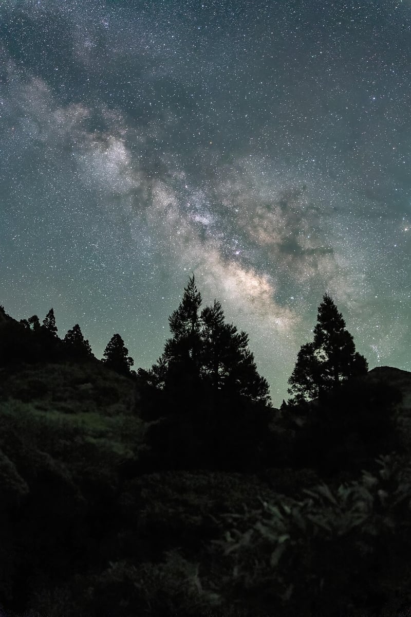 Dance under the stars